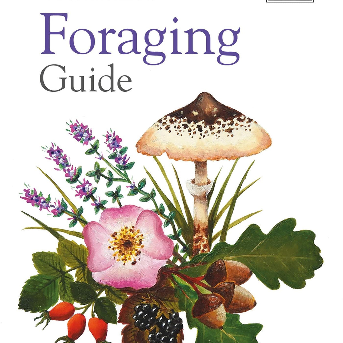 The Concise Foraging Guide – Wairm
